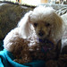 Ginger May Photo 17