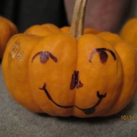 John Wilkens Photo 27