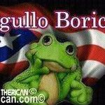 Edwin Quiles Photo 16