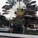 Dorothy Gunter Photo 6