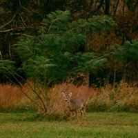 Christine Dodds Photo 18