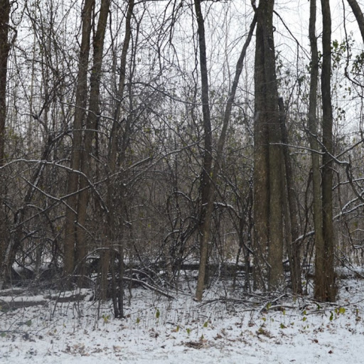 Mike Defilippis Photo 13