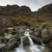 Lee Beck Photo 23