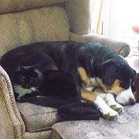 Kathleen Winters Photo 7