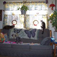 Julia Jennings Photo 4
