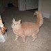 Jazmine Love Photo 24