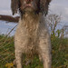 Jason Cheshire Photo 19