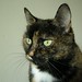 Janie Robinson Photo 12