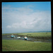 Diana Gower Photo 15