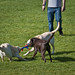 Dennis Beverly Photo 5