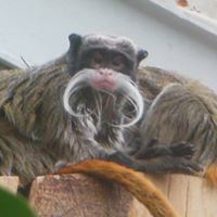 Tim Wouters Photo 3
