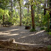 Sue West Photo 23