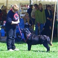 Judy Heim Photo 10