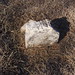 John Potts Photo 9