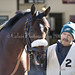 Michael Barbaro Photo 27