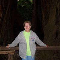 Susan Watkins Photo 27