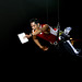Mark Nelson Photo 10
