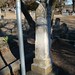 Ann Whitney Photo 34
