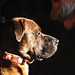 Ralph Peters Photo 14