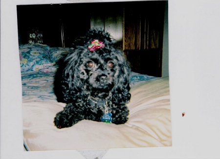 Joann Jones Photo 11