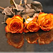 Rose Hernandez Photo 34