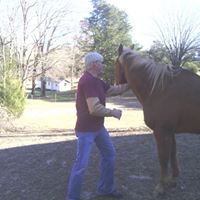 Gary Meadows Photo 24