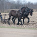 Tom Wold Photo 22