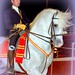 Santos Nieves Photo 15