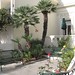 Rose Coronado Photo 16
