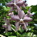 Mary Motes Photo 22