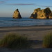 Heidi Nelson Photo 8