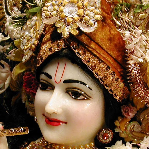 Khyati Joshi Photo 15