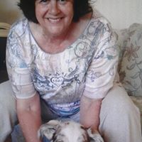Sandra Hawes Photo 8