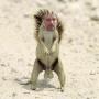 Steven Haines Photo 22