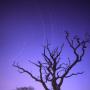 Steve Atkins Photo 14