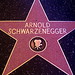 Star Arnold Photo 7