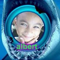 Albert Lang Photo 23