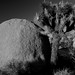 Joshua Kish Photo 15