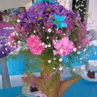 Mary Llinas Photo 4