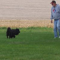 Bob Hough Photo 8