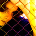 Giselle Rojas Photo 32