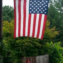Debbie Shelton Photo 30