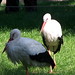 Margaret Stork Photo 8