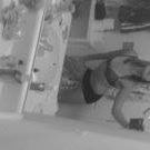 Alyssa Reynolds Photo 8