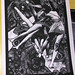 Heather Bowen Photo 37