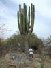 Gabriel Torres Photo 7