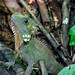Forest Boyd Photo 8