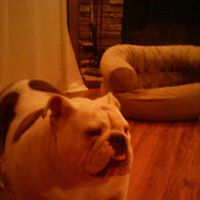 Angie Spivey Photo 7