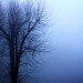Laurence Whelan Photo 7