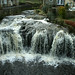 Gayle Cross Photo 23